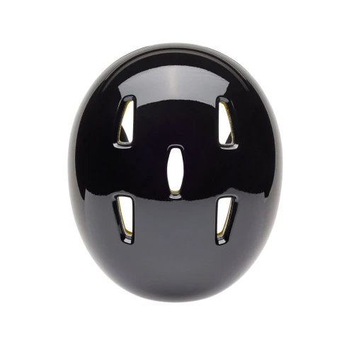 Fox Flight Helmet
